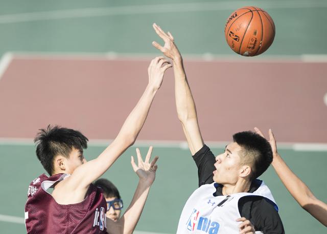 精品视频香蕉尹人在线