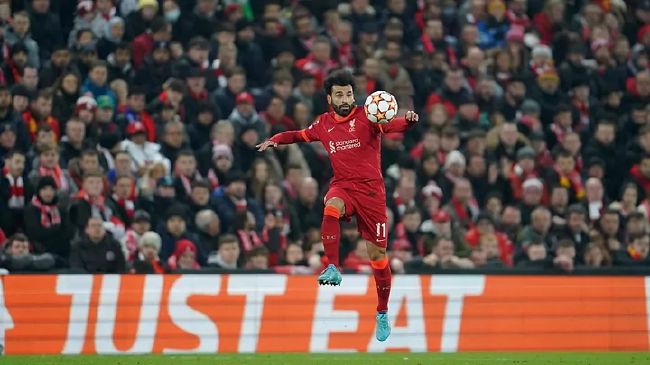 害羞网