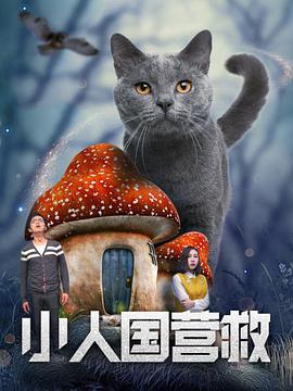 久久精品96