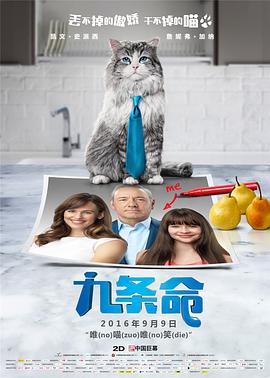 精品久久久噜噜噜久久久app