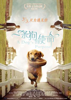 足恋