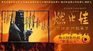 国产96在线