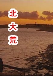 日本少妇xxx