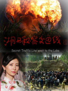 国产区精品高清在线观看