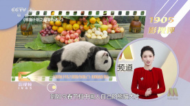 交换妻子