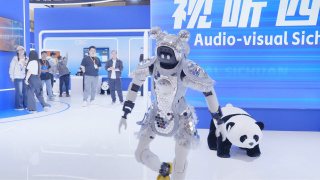 国产99久久久精品视频